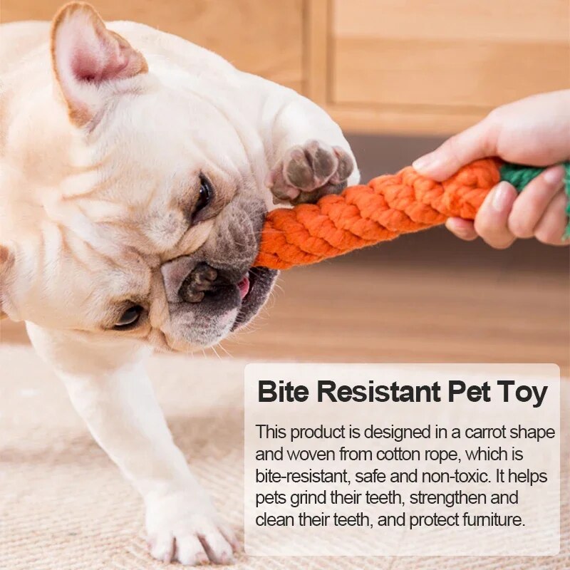 Pet Dog Chew Toy